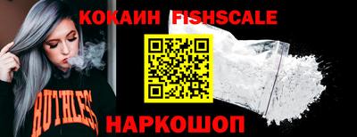 гашик Камышлов